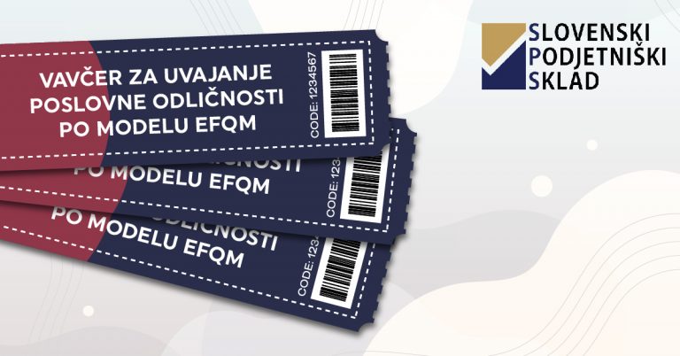REVAV-12-Vavčer za uvajanje poslovne odličnosti po modelu EFQM