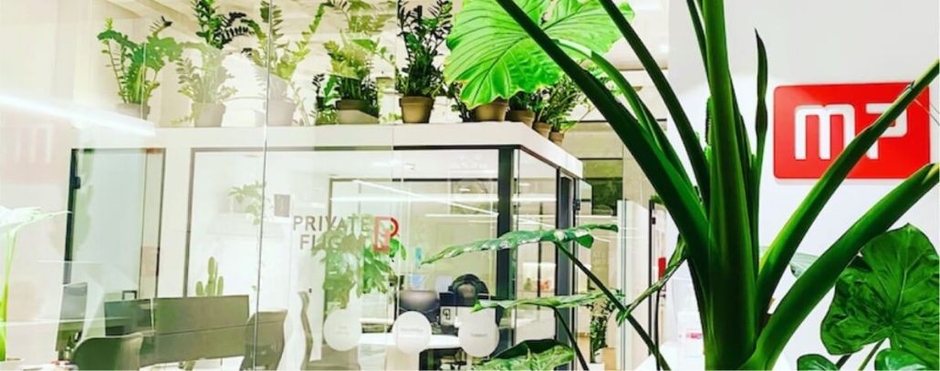 Rastline MP hub coworkinga