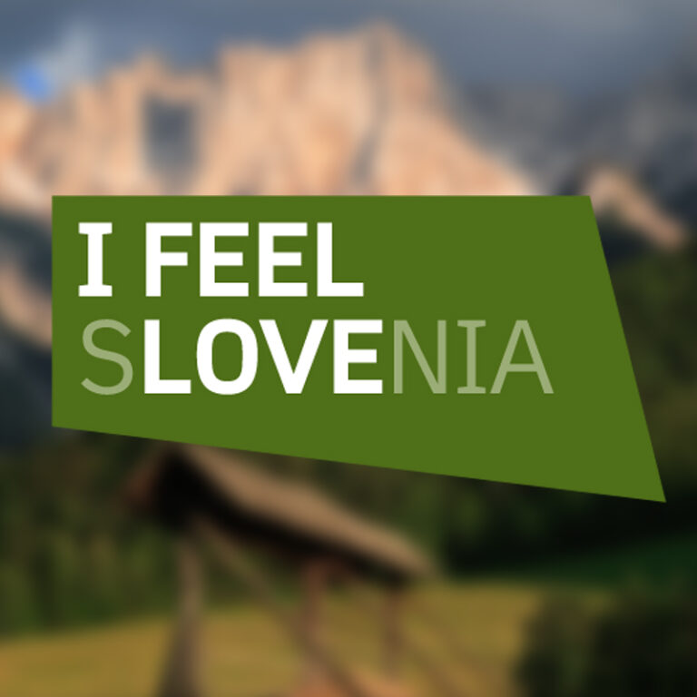 Projekt: Ambasadorji nacionalne komunikacijske kampanje za promocijo slovenskega gospodarstva v tujini