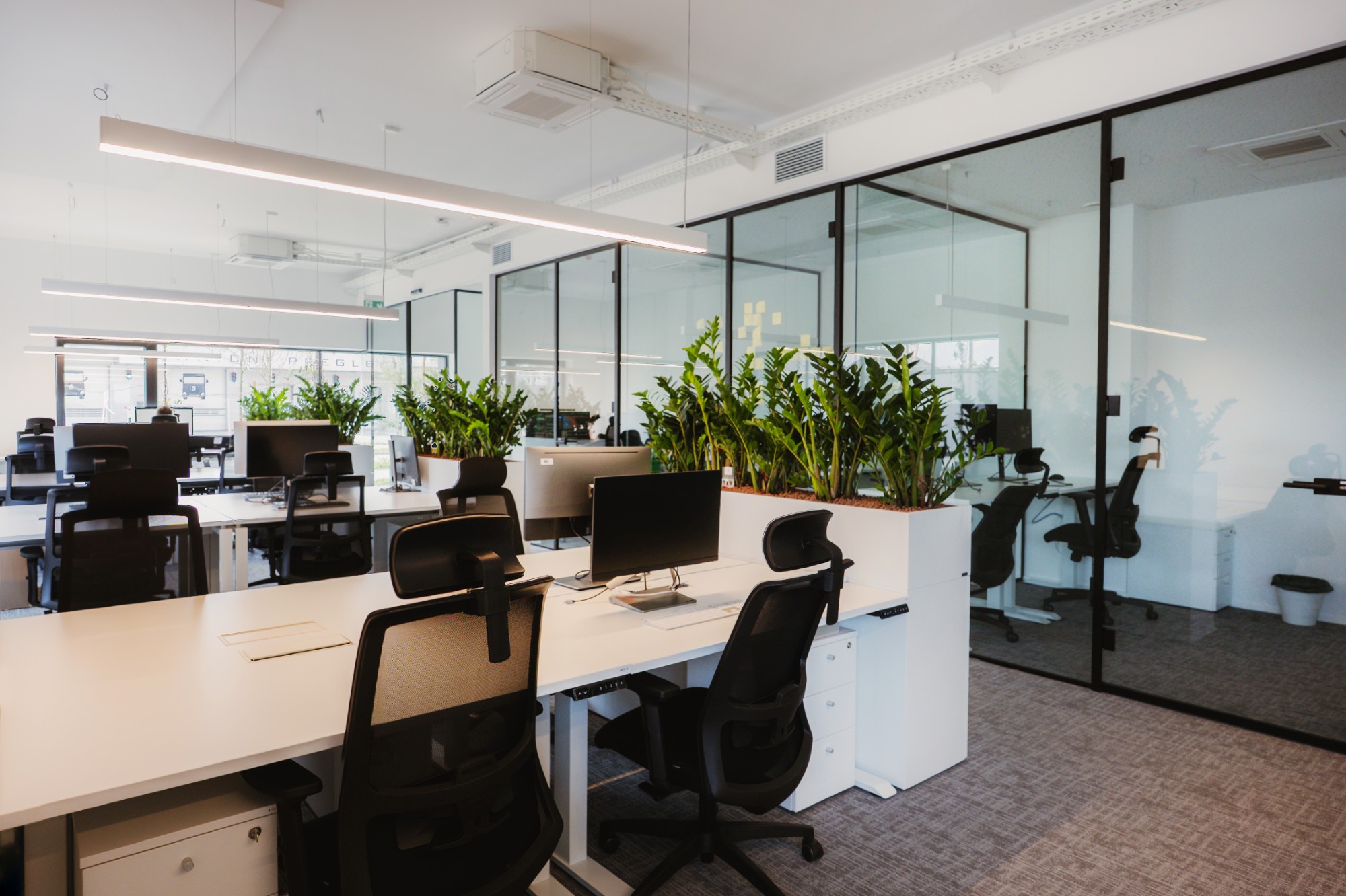 Notranjost MP hub coworking prostorov v Ljubljani z odprtimi delovnimi mizami